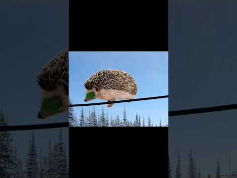 в лесу родилась
