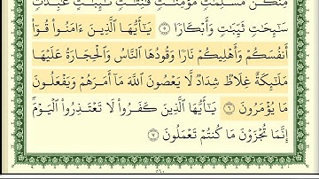 دايمن سويد سورة التحريم كاملة مكتوبة تعليم القراءة الصحيحة مع التجويد HD