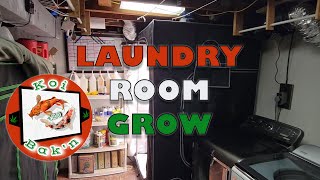 Laundry Room Grow | Season 4 Ep 8