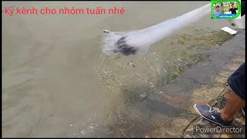 Chài cá 🐠🐟🐡 T 9