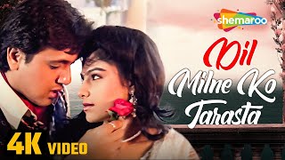 Dil Milne Ko Tarasta Hai | दिल मिलने को तरसता है | Full Hindi Song | Alka Yagnik | Vinod Rathod