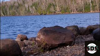 Franklin Falls Pond 2024 #nature #adirondacks