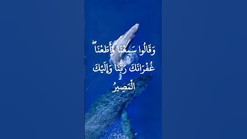 اواخر سورة البقرة بصوت القارئ عبد العزيز سحيم #religion #قران_كريم #سورةالبقرة #عبدالعزيزسحيم