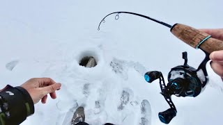 ЦЕЛЫЙ ДЕНЬ ЖДАЛ ПОКЛЁВКУ ЭТОГО КАБАНА! Рыбалка на ВИБЫ со льда