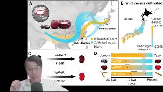 科學新知 2025-07-03 Part3: 人類馴化紅豆的故事，原來始於日本。| 主持： 陳志宏 博士 & 台長 梁錦祥