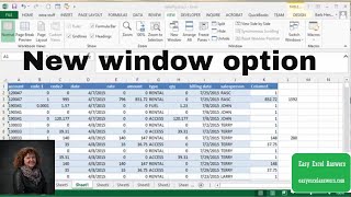 New window option on the View tab in Excel
