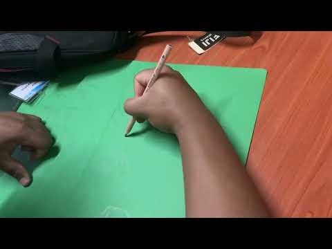 UU204 Matai Mangrove Canvas