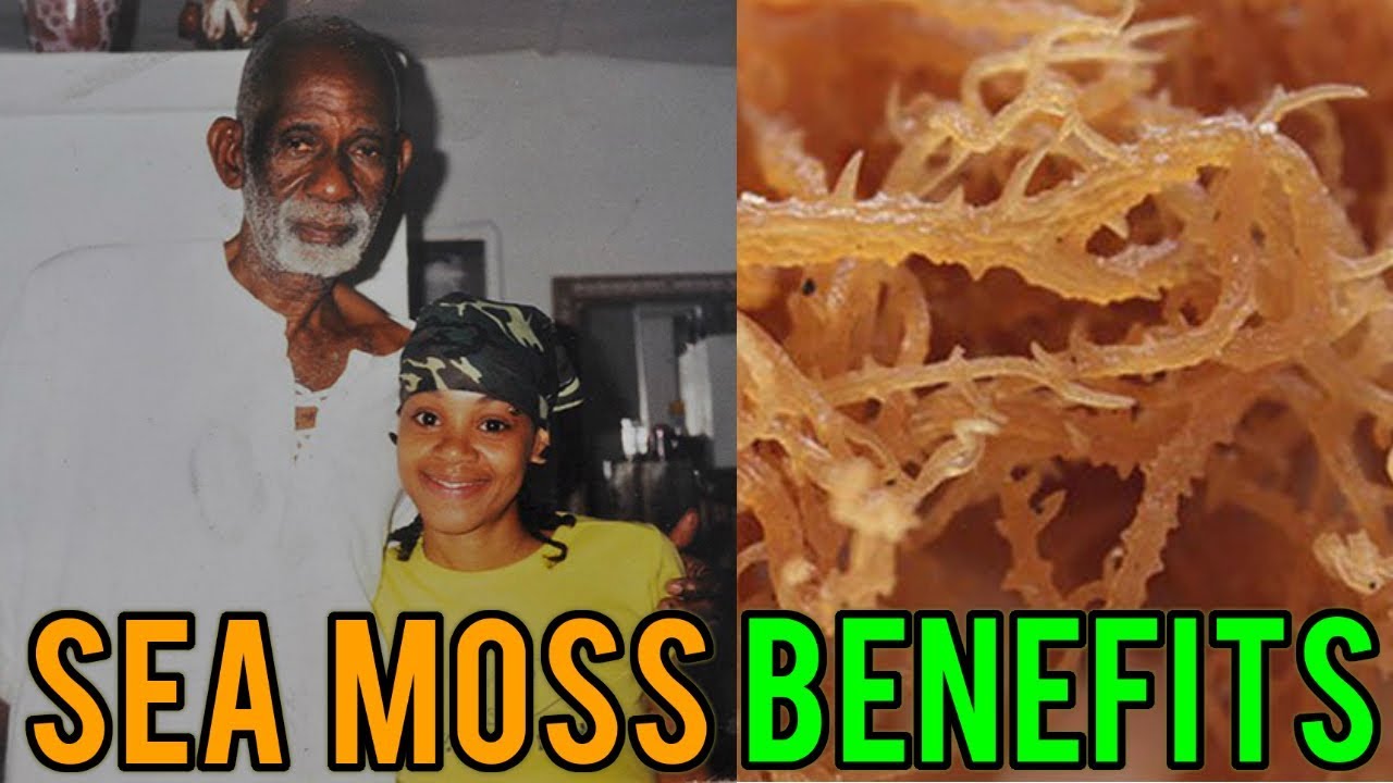 sea moss drink amazon Lisa Left Eye Lopes Talks About Sea Moss Benefits