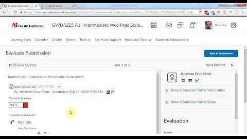 5 - How to Grade in Turnitin and Import into BrightSpace