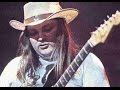 Lynyrd skynyrd guitarist ed king and the genius of ronnie van zant