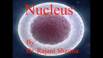 Nucleus as perJNU, CSIR-NET, GATE, DBT, GRE and ICMR syllabus
