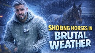 Shoeing Horses in TERRIBLE Weather!