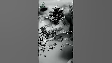 سورة ق • مكية • بصوت ماهر المعيقلي | عدد الآيات: 45 #قرآن #Quran #تلاوة #قرآن_كريم #ق #سورة_Qaf