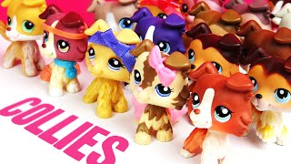 All My Lps Collies Updated