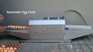 ECM750 Egg cleaner
