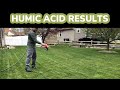 Results of using humic acid, spoon feeding your lawn & HYDRETAIN