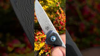 BEGG KNIVES BEAUTY!! DIAMICI VG10 #edc #knife #pocketknifes