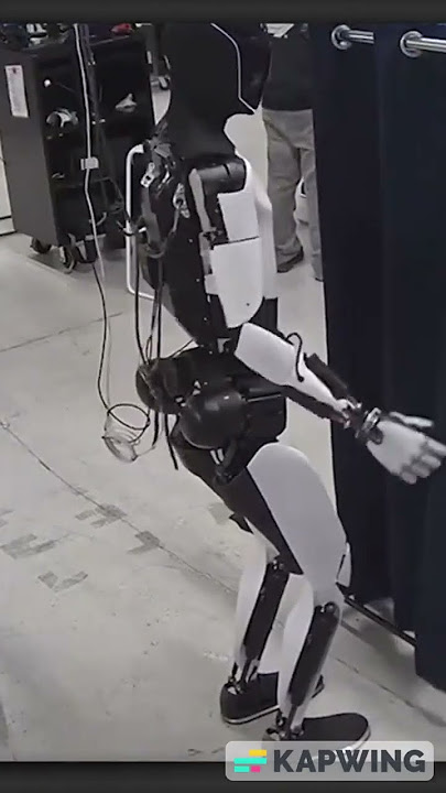 ELON MUSK TALKS GROK 4 INTEGRATION WITH TESLA OPTIMUS ROBOT | AI NEWS
