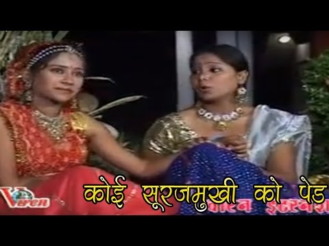 वीडियो: सूरजमुखी राख रोट