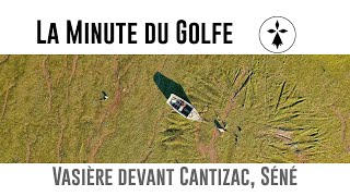 La Minute du Golfe - E5 - Vasière devant Cantizac, Séné