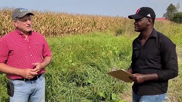 Ears to the Ground Part 7: Replicated Strip Trials