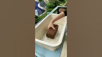 Kraft Seeds   Cocopeat Brick 1kg Block for Gardening & Plants, Expands into Coco Peat Powder Pack of