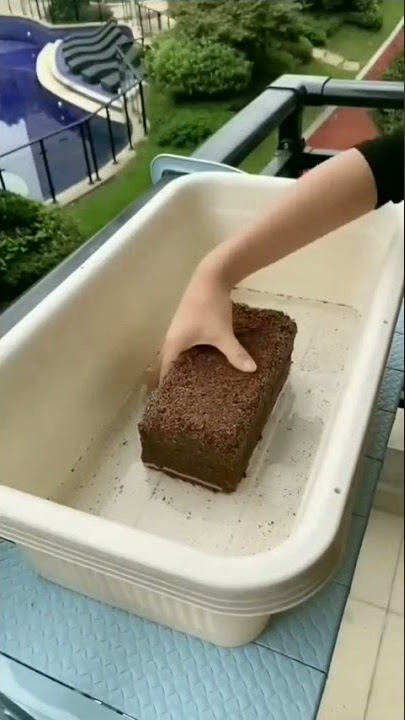 Kraft Seeds Cocopeat Brick 1kg Block for Gardening & Plants, Expands into Coco Peat Powder Pack of