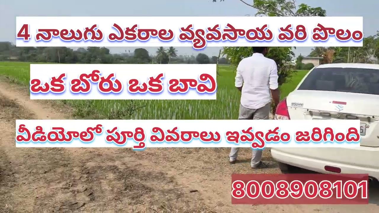 నాలుగు ఎకరాల వ్యవసాయ వరి పొలం అమ్మకానికి సిద్ధంగా ఉంది// urgentsale// full water//ఎకరానికి 28 లక్షలు