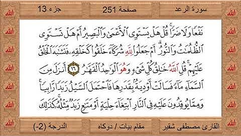 الشيخ /مصطفى شقير تلاوة من سورة الرعد