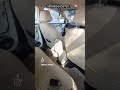 Verna fluidic ambient light installation