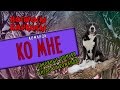 команда КО МНЕ. Основные ошибки и хитрости выполнения