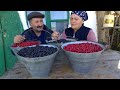 Best Method Making Wild Berry Sweets in the  Village