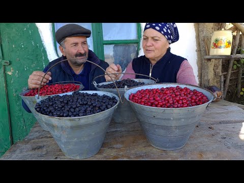 Βίντεο: Γωνιά άγριας ζωής