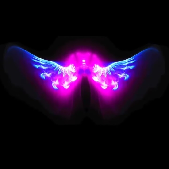 Gif Avee Player - Sayap Terbaru
