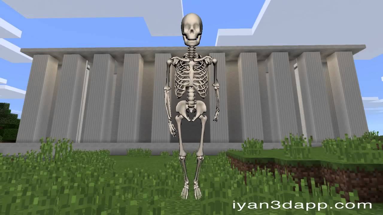 Skeleton Falling Simulation Game 3D Test 002 Skeleton Falling 1.0 - YouTube