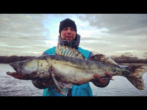 Рыбалка на Москва реке. Место где клюют трофеи!!!