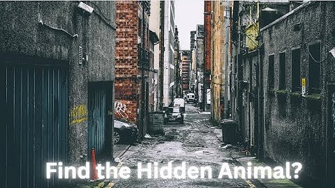 Hidden Animal Challenge: Can You Spot Them All | Find If You Can #animals #viral