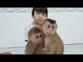 Rescues The Baby Monkeys From The Hunters- Poor Monkey