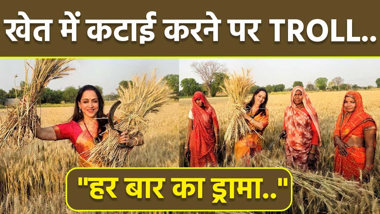 Hema Malini Harvests Wheat Crop During Poll Campaign In Mathura, Public Troll...| Boldsky