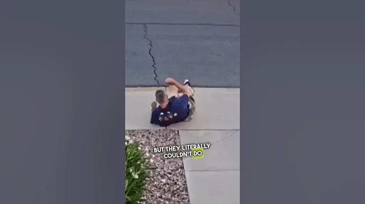 Bees are Becoming a Huge Problem 😳