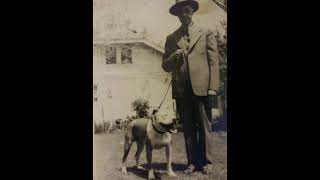 Pitbull Strain Old Family Red Nose Feb. 28, 2021 Written By Neylor Zaurisio