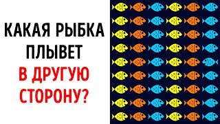 9 Задачек с Подвохом, Которые Проверят Остроту Вашего Зрения 9 Задачек с Подвохом, Которые Проверят Остроту Вашего Зрения