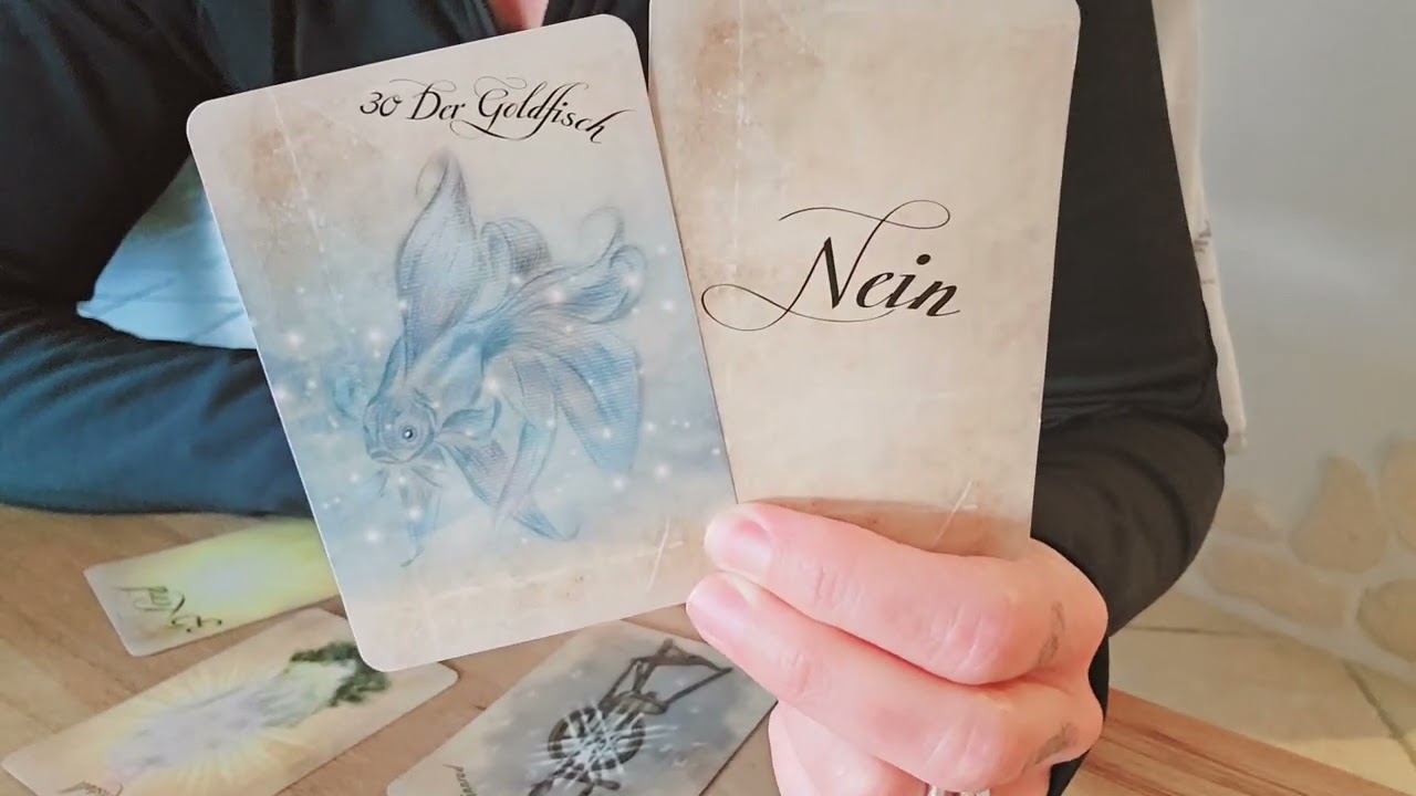 🙌🏼💙☕️ Gefühle? 🤯 Antrag ABGELEHNT! 🫷🏼 Jedoch ... 💗🤷🏻‍♀️!  #liebesorakel #tarot #runen