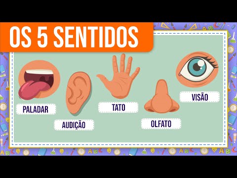 Vídeo: Quais são os usos dos órgãos dos sentidos?