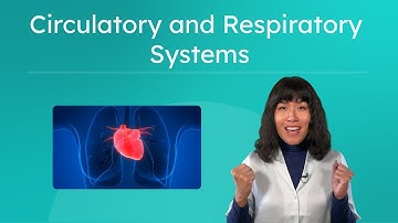 Circulatory and Respiratory Systems - Supplying Oxygen and Nutrients