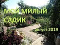 Садовый архив Полный обзор сада 20.08.19.