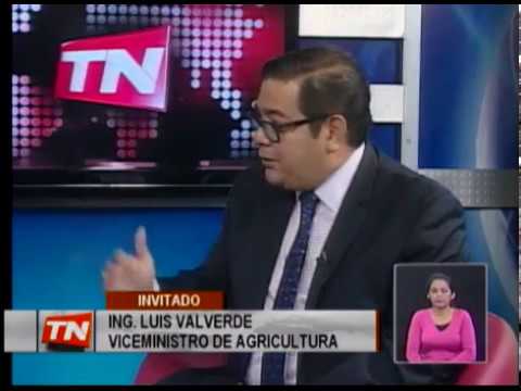 Ing. Luis Valverde 