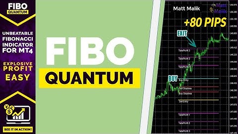 Fibo Quantum Review | How to Trade with Fibonacci Levels