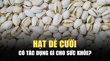 5 công dụng của hạt dẻ cười đối với sức khỏe | Sức khỏe+ #suckhoecong