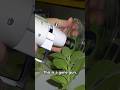 Gene guns let you shoot DNA into things thumbnail
